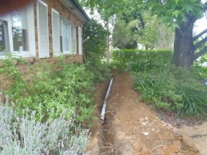 Forestville blocked drain                                    